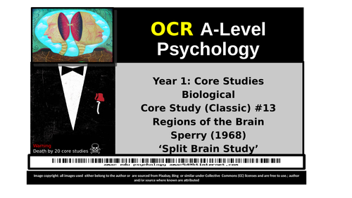 OCR A-Level Psychology: Core Study #13 Sperry (1968) Split Brain Study