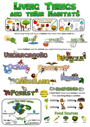 Year 2 Science Poster - Living things and their habitats