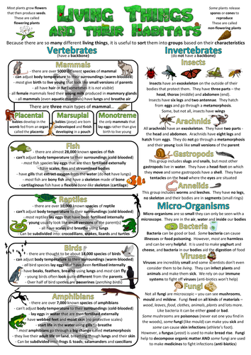 Year 6 Science Poster - Living things and their habitats