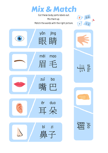 body parts printables chinese worksheets teaching resources