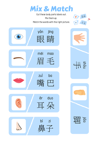 preschool mandarin resources parts of the body