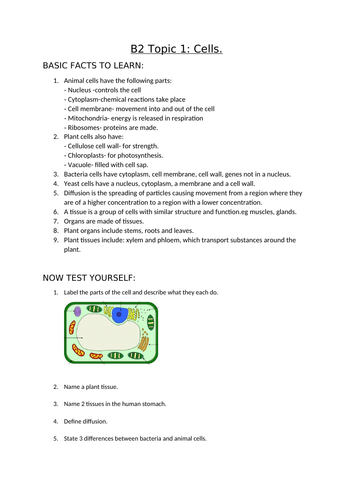 AQA Biology GCSE topic B2.1 cells facts, short and 6 mark Qs and As