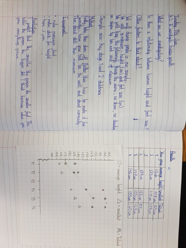 human growth investigation - suitable for Y4, Y5 and Y6