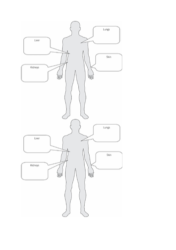 B12.2 Removing Waste Products