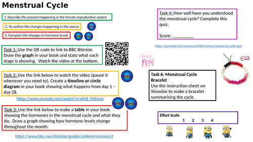 Menstrual Cycle Independent Activity - KS3 / KS4