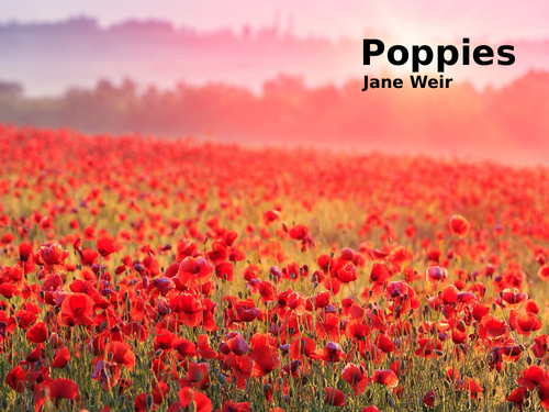 Poppies by Jane Weir- Poetry Analysis (CCEA GCSE Conflict Poetry)