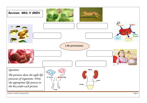 Free Biology worksheet; 8 Life processes