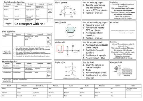 AS memorise sheet answers