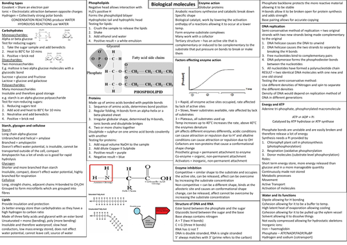 Biological molecules crib sheet