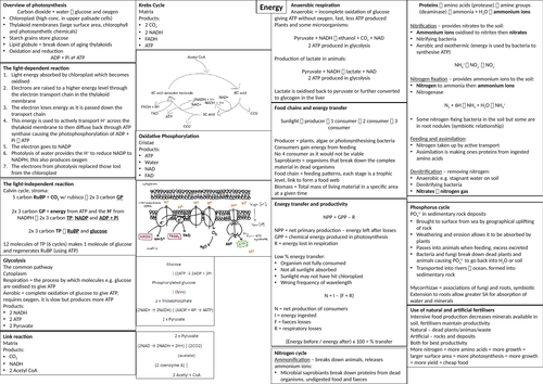Energy transfer in and between organisms crib sheet