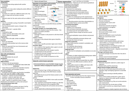 The control of gene expression crib sheet