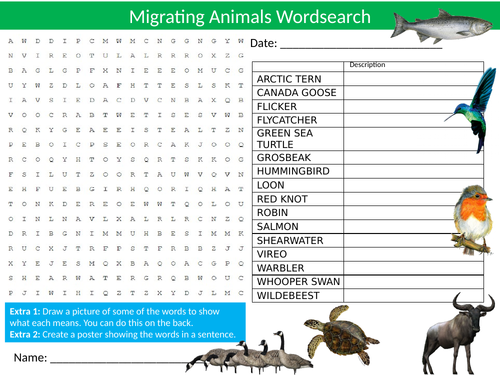 Migrating Animals Wordsearch Sheet Starter Activity Keywords Cover Homework Nature