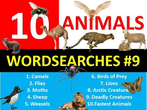10 x Animals Wordsearch #9 Sheet Starter Activity Keywords Cover Homework Nature Creatures