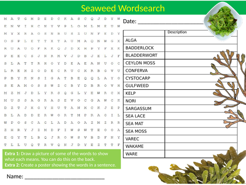 Seaweed Wordsearch Sheet Starter Activity Keywords Cover Homework Nature Plants The Sea Ocean