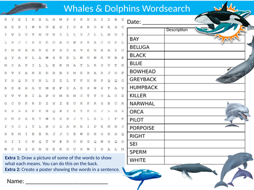 Whales & Dolphins Wordsearch Sheet Starter Activity Keywords Cover Homework Animals The Sea Ocean