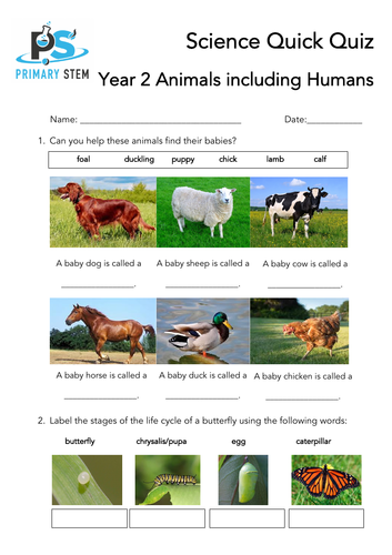 Primary Science Quick Quizzes Year 2