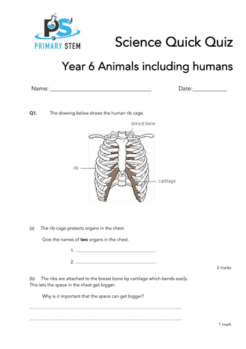 Primary Science Quick Quizzes Year 6