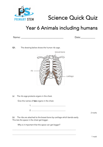 primary science quick quizzes year 6 teaching resources