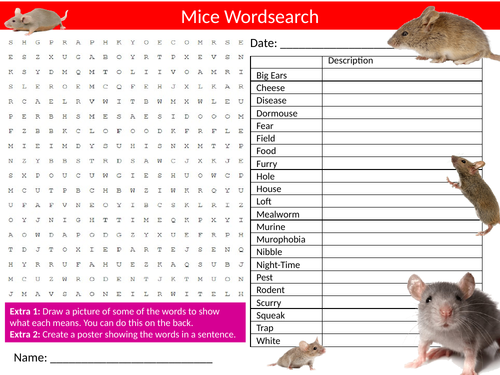 Mice Wordsearch Sheet Starter Activity Keywords Cover Homework Animals and Pets