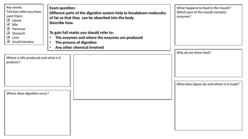 Long Answer Question Scaffold