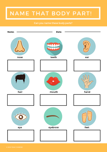 Freebie Name That Body Parts Mandarin Chinese Teaching Resources