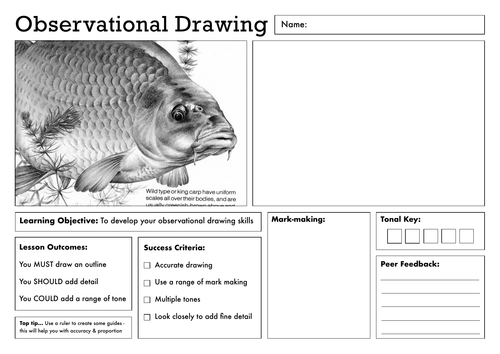 Observational Drawing Worksheet