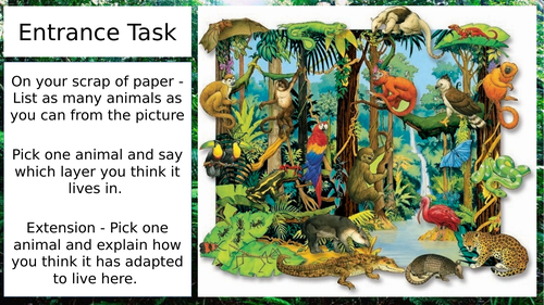 Tropical Rainforest Adaptations Crossword Teaching Resources