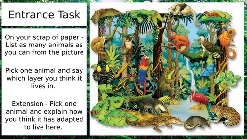 Lesson 5 - Animal Adaptations in the Tropical Rainforest