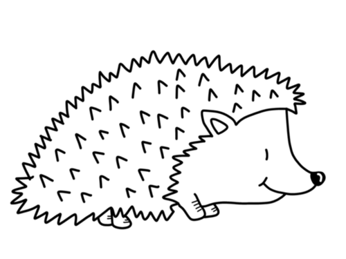 Hedgehog Colouring Pack