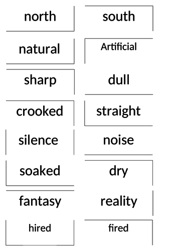 Synonym and Antonym matching cards - 11 plus and KS2