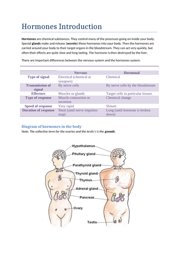 GCSE Biology Hormones Revision Notes  & Presentation