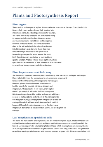 GCSE Biology Plants and Photosynthesis Practical Report