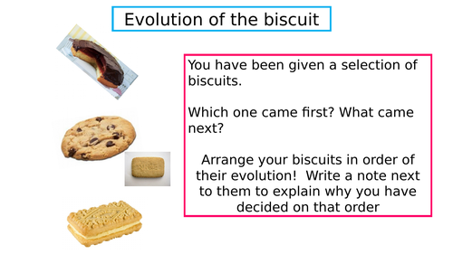 The Fossil Record using biscuits