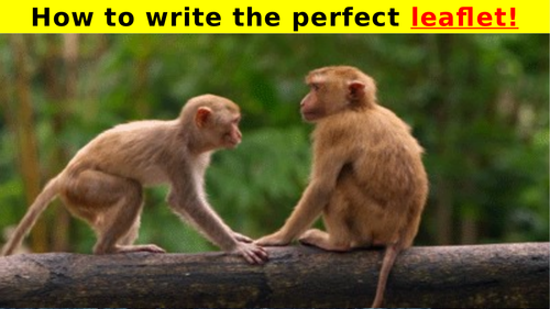 Writing a tourist attraction LEAFLET (Monkey World) - Functional Skills English