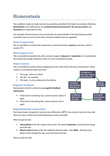 GCSE Biology Homeostasis Revision Notes