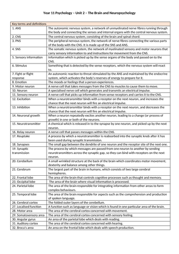 GCSE Psychology  - The Brain and Neuropsychology Unit - Knowledge Organiser/ Key terms list/Glossary