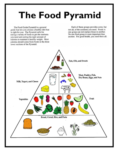 30 Food Pyramid Worksheet Pdf - support worksheet