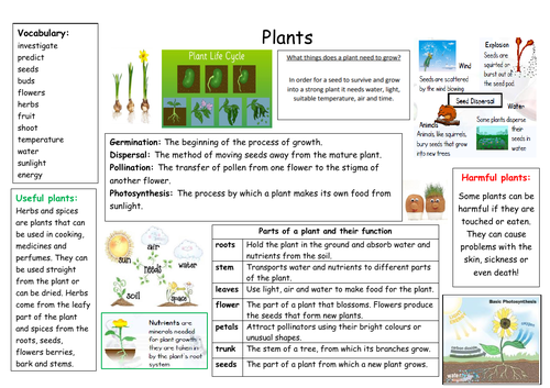 Plant topic Knowledge Organiser