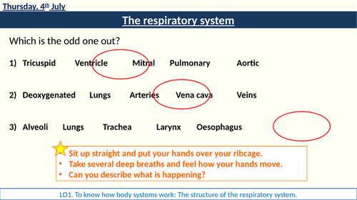 RO23 Body System Respiratory System lessons