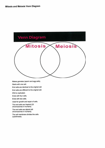 Mitosis Vs Meiosis Venn Diagram