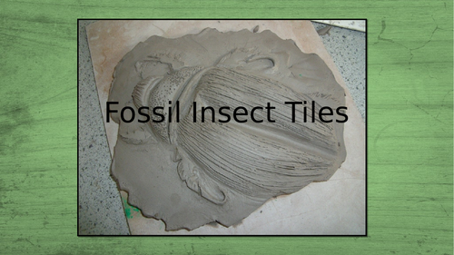 Clay Insect tiles.