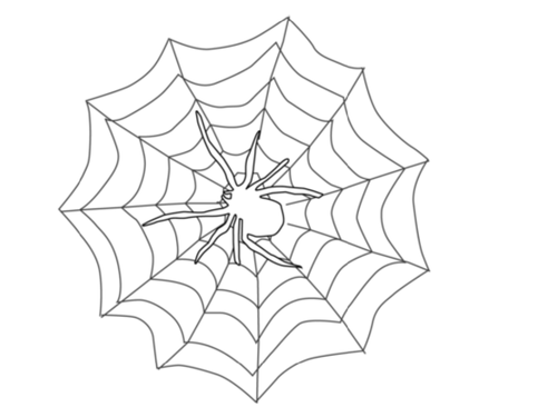 Spider Coloring Pack