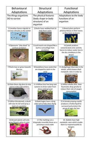 Type of Adaptations Card Sort