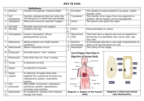 Key Stage 3 Knowledge Organiser 7A Cells