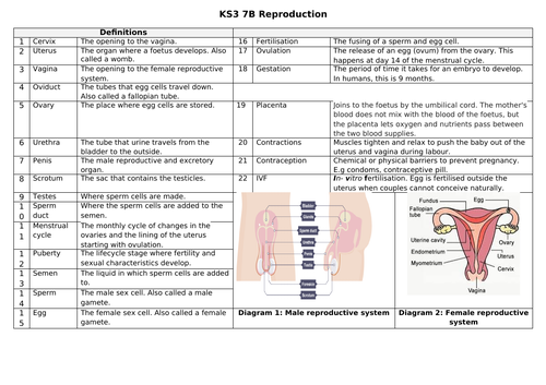 Key Stage 3 Knowledge organiser 7B Reproduction