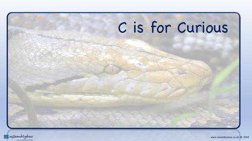 C is for Curious - Whole School Assembly