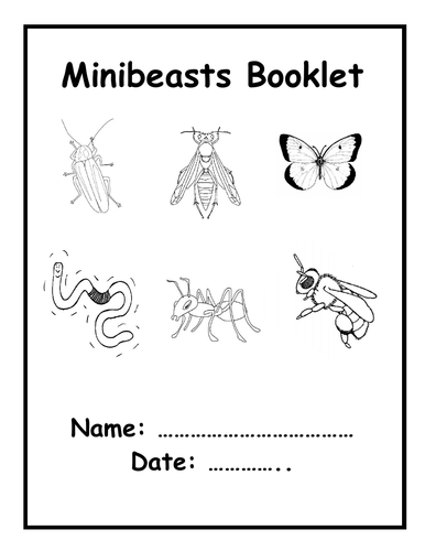 Minibeasts / Creepy Crawlies -  Information Booklet & Pictures