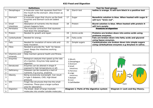 Key Stage 3 Science Knowledge organisers Year 7 and 8 Full