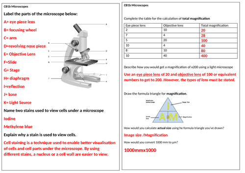 Edexcel CB1 (SB1)Core Practical Revision Summary sheet and answers