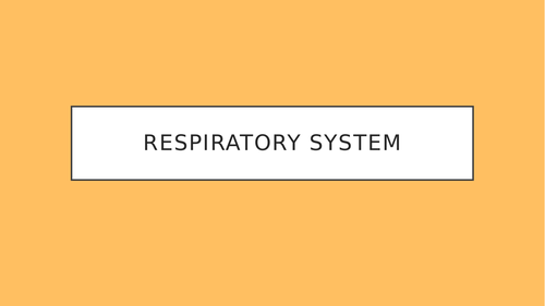 GCSE PE Respiratory System